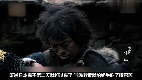 牛电影,探寻农业科技与乡村振兴的精彩篇章